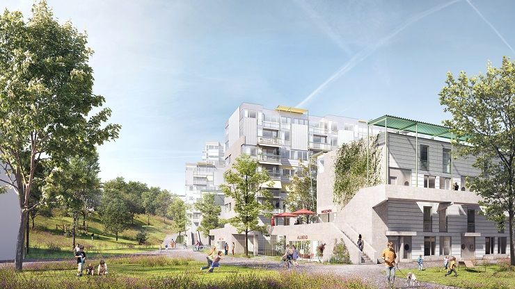 Projektwebsite: Erneuerung Siedlung Tulpenweg