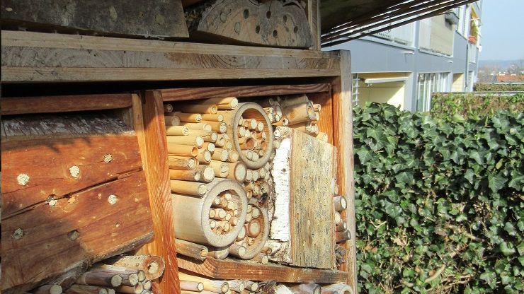 Ein Haus für Wildbienen