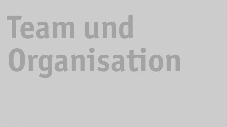 Team und Organisation